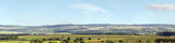 P207B PREMIUM HILLS & DALES OO 15 BACKSCENE