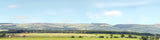 P207D PREMIUM HILLS & DALES OO 15 BACKSCENE