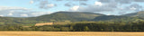 P242 PREMIUM HARVEST HILLS OO 15 BACKSCENE