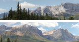 260A ROCKIES BACKSCENE