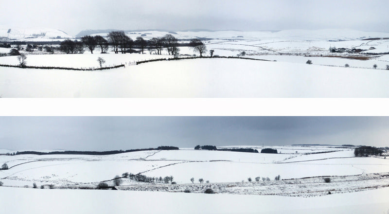 P402 WINTER HILLS PREMIUM