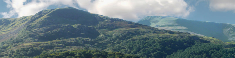 PN255 LLANBERIS N GAUGE PREMIUM BACKSCENE