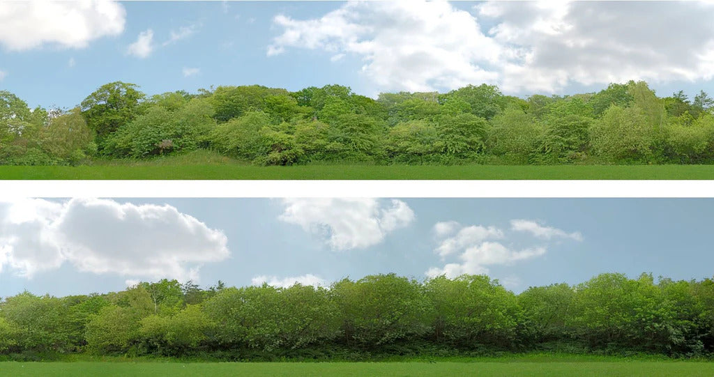 95398 Art Printers OO Gauge 15 Inch High Backscene Trees (147B)
