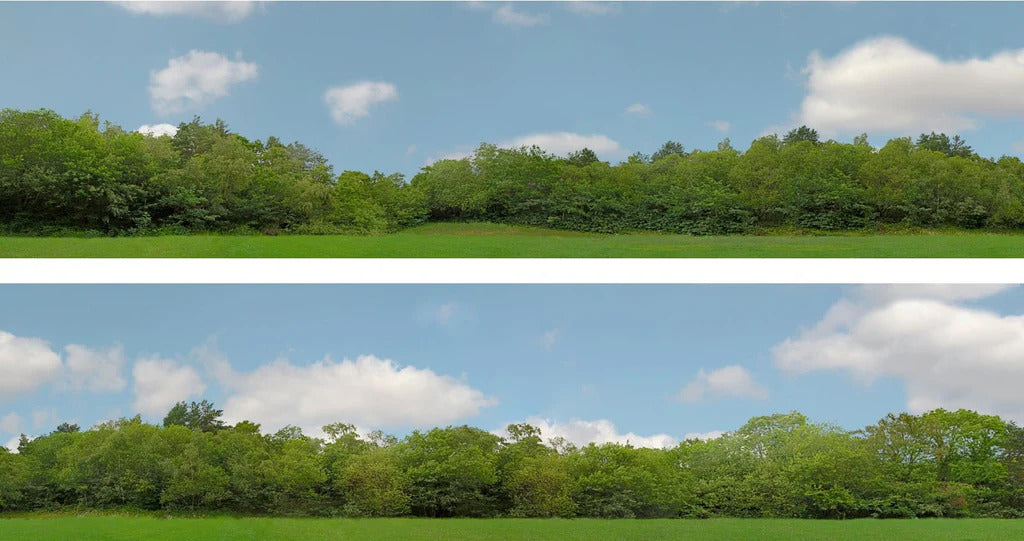 95399 Art Printers OO Gauge 15 Inch High Backscene Trees (147C)