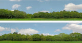 95399 Art Printers OO Gauge 15 Inch High Backscene Trees (147C)