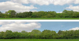 95400 Art Printers OO Gauge 15 Inch High Backscene Trees (147D)