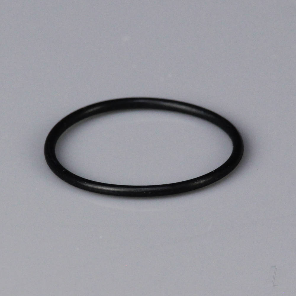 L009 Back Plate O Ring