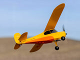 HobbyZone Champ Anniversary Special Edition 515mm RTF with SAFE - PRE ORDER ONLY - EXPECTED AUGUST