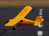 HobbyZone Champ Anniversary Special Edition 515mm RTF with SAFE - PRE ORDER ONLY - EXPECTED AUGUST