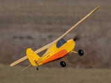 HobbyZone Champ Anniversary Special Edition 515mm BNF Basic with SAFE - PRE ORDER ONLY - EXPECTED EARLY AUGUST (Copy)