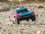 ARRMA 1/10 SENTON 223S BLX 4X4 SCT RTR with DSC Blue/Purple