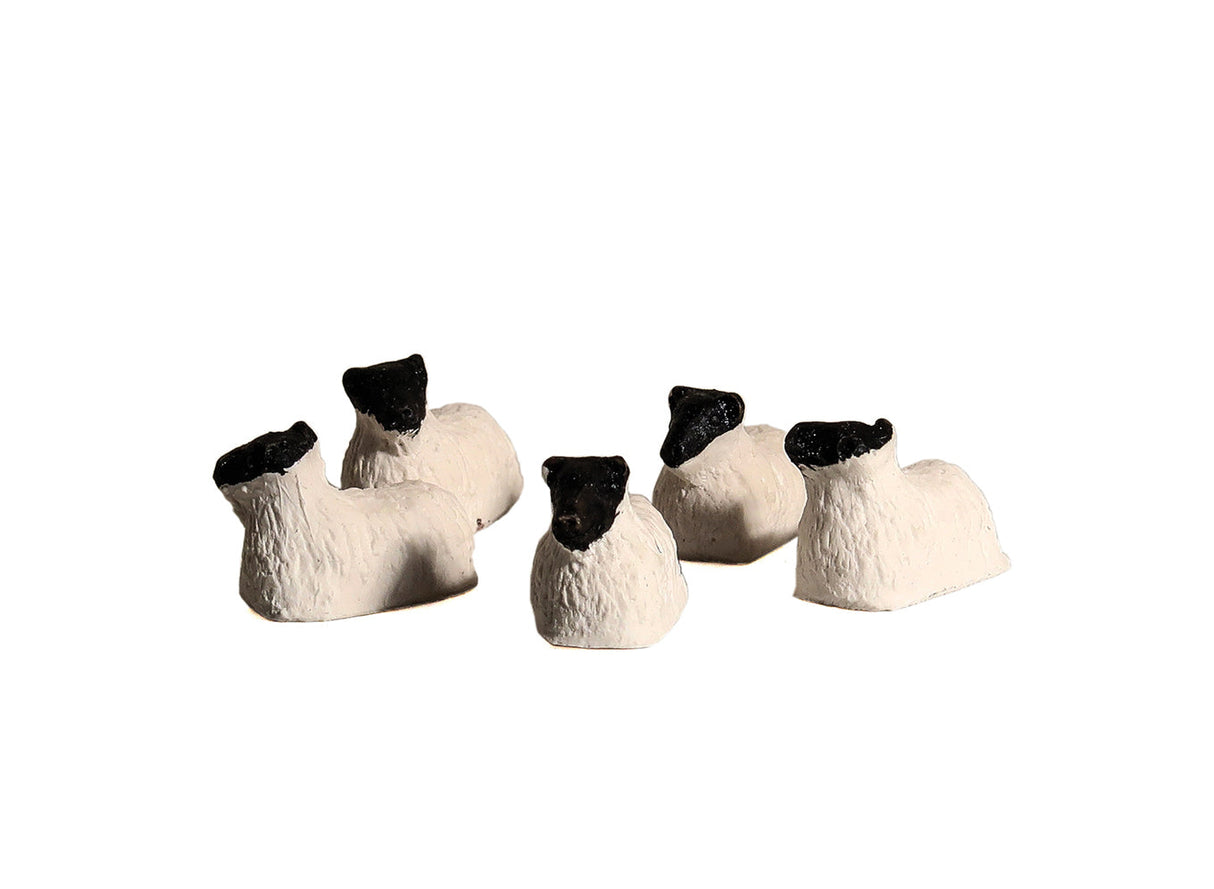 Five Blackface Sheep