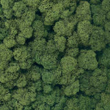 Tasma Lichen 005.125 Dark Green 125g (ER.1025)