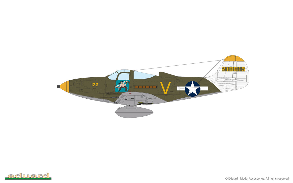 Eduard 1/48 P-39N Aircobra ProfiPack edition kit 7406