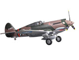 FMS P-40B  PNP  1400MM - FOR PRE ORDER ONLY