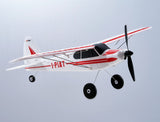 FMS 500mm Mini PA-18 model RTF