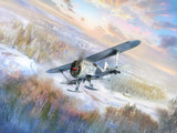 I-153 (Winter Version) WWII Soviet Fighter Plane