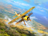 CR. 42 Falco WWII Italian Fighter Plane