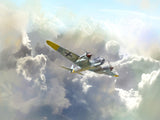 Ju 88D-1 WWII German Reconnaissance Plane
