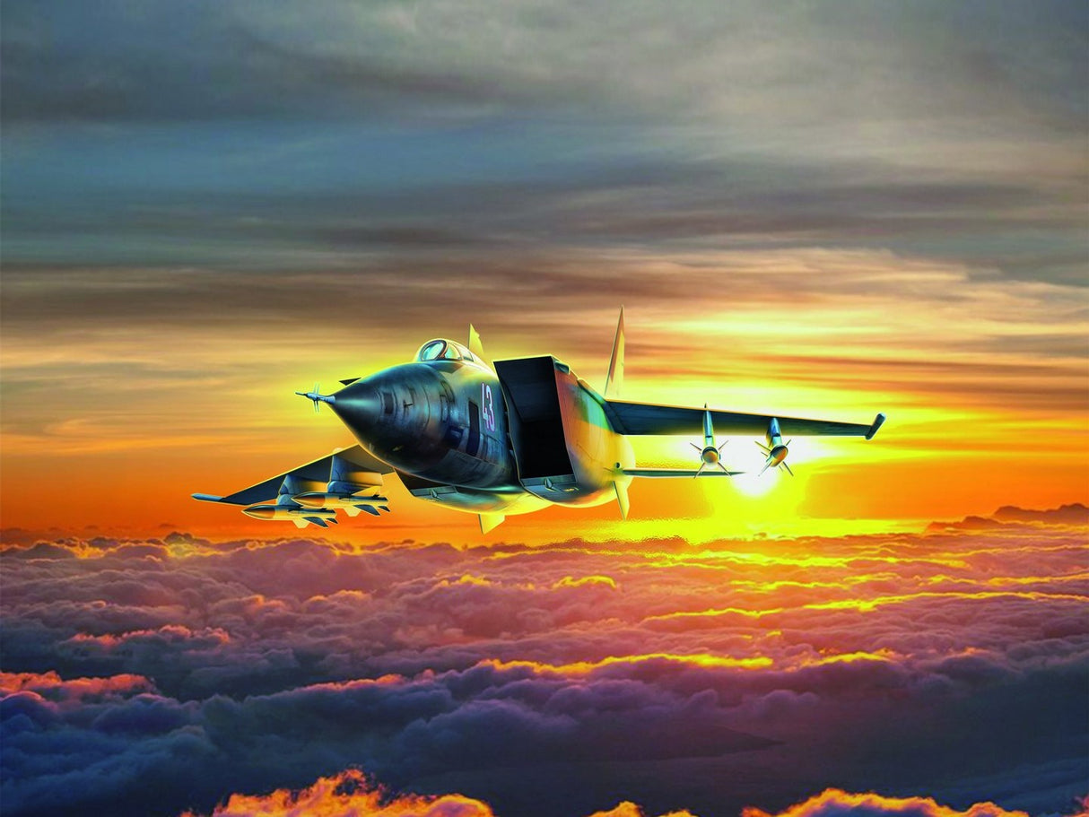 ICM MiG-25 BM Soviet Strike Aircraft