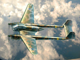 FW 189A-2 WWII German Reconnaissance Plane