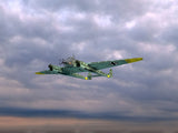 FW 189A-1 WWII German Night Fighter Plane
