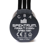 Spektrum Firma 3660-3100Kv 4-Pole Sensorless Brushless Motor: 5mm