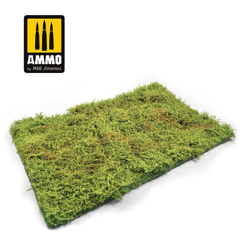 Wilderness Fields with bushes - spring