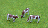 Cows