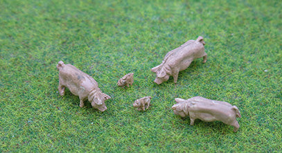 Pigs