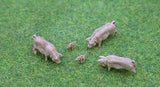 Pigs