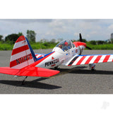 Seagull Super Chipmunk Art Scholl (35-40cc / 10s-12s) 2.05m / 81in