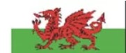 Becc Wales Modern National Flag GB30