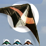 Didak Rapid Solar 2 Line Kite