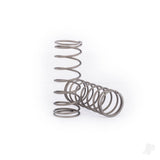 Springs shock (natural finish) (GT-Maxx) (1.036 rate) (2)