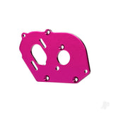 Plate motor 6061-T6 aluminium (pink-anodised) (4mm thick)/ 3x10mm CS with split and flat washer (2)