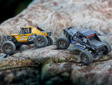 UDI RC UCX24 SNOW LEOPARD 1/24 CRAWLER RTR BRUSHLESS 4WS BLACK- PRE ORDER - EXPECTED SHORTLY