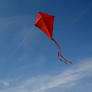 Greens Kite - Laser B114