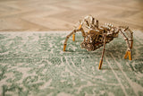 Wood Trick Space Spider Kit
