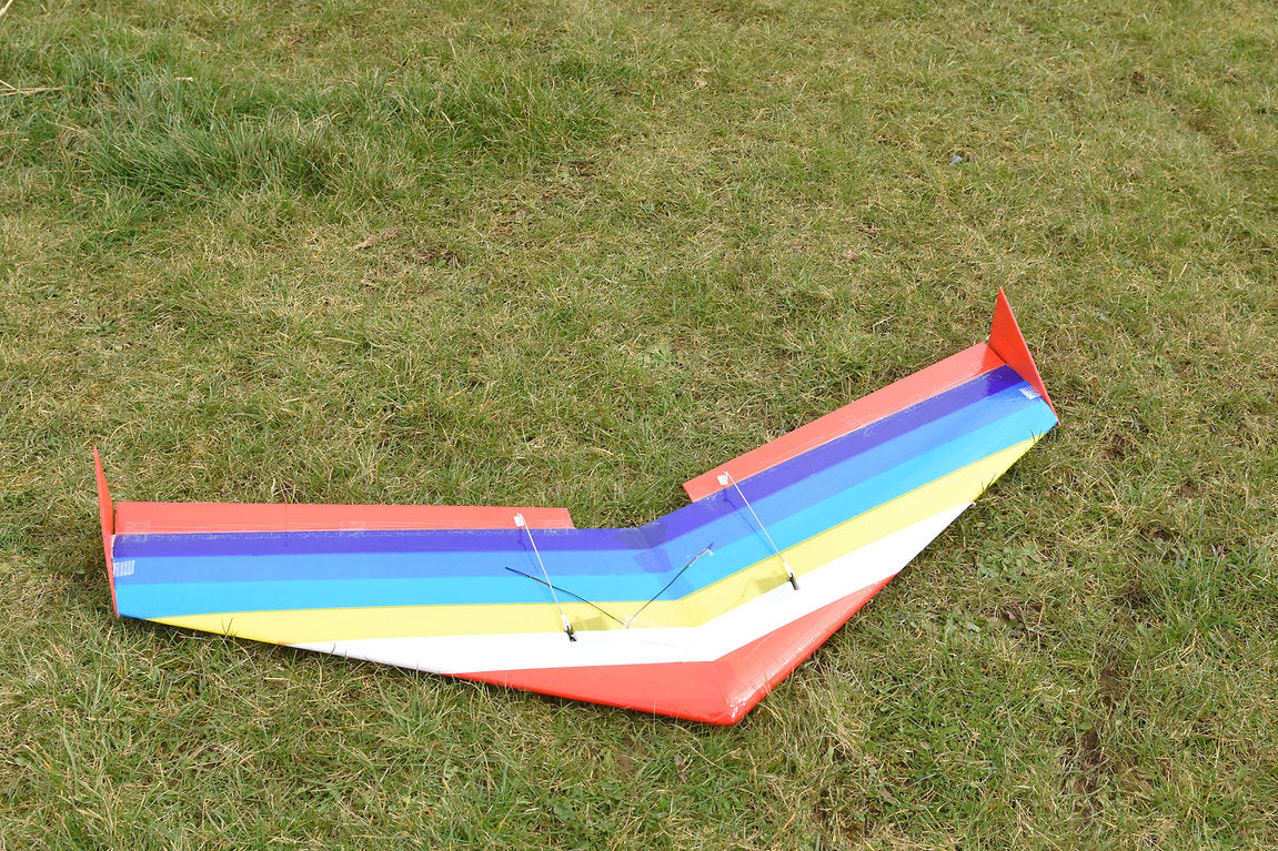 Flying Molewing Glider Flying Wing