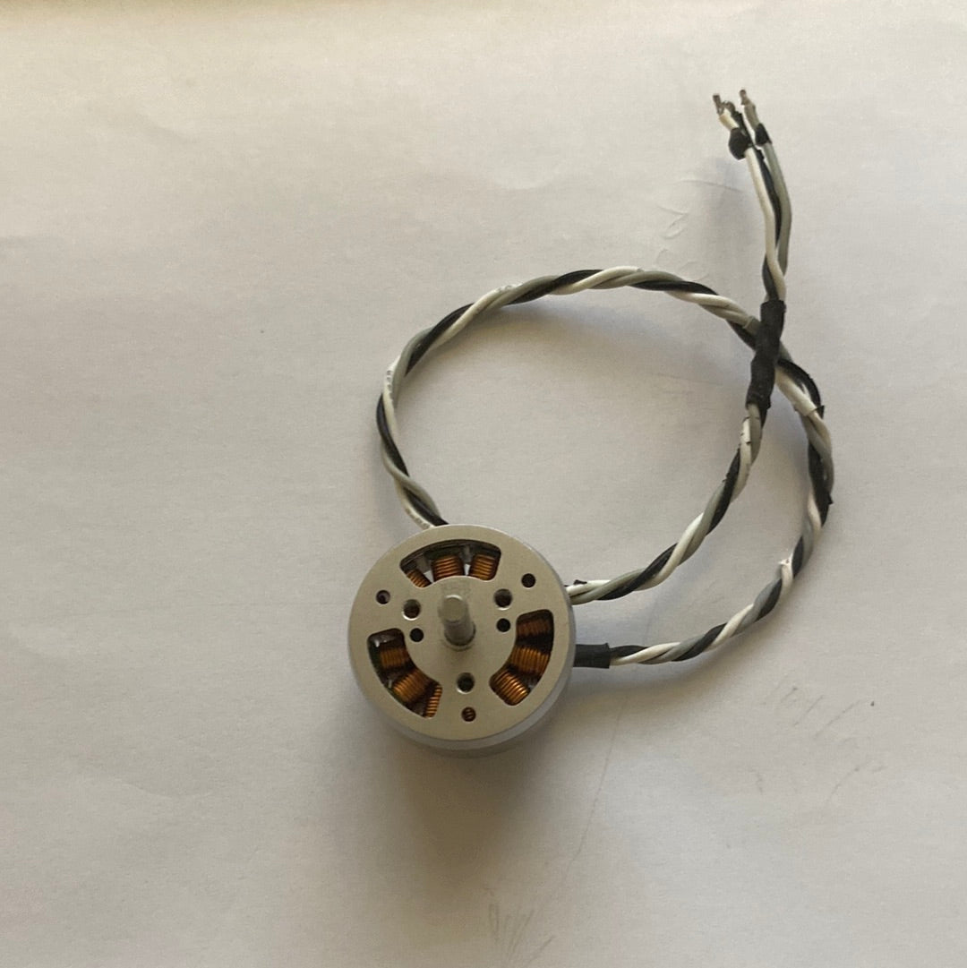 Brushless Motor (Bagged)