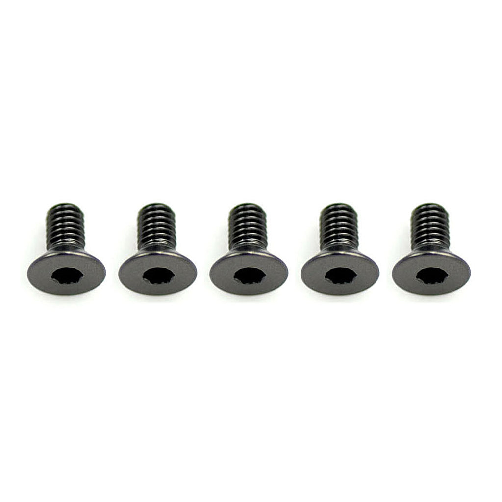 Alloy Csk Hex Screws M3 x 6 pk10