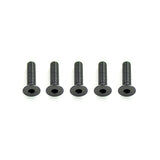 Alloy Csk Hex Screws M3 x 12 pk10