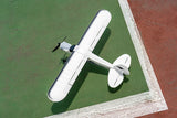 EAZY RC 540MM PA-18 RTF PLANE