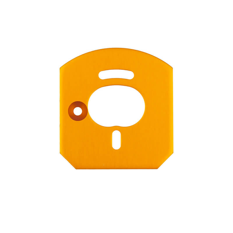 TEAM ASSOCIATED 6x6 MOTORMOUNT PLATE GOLD