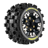 LOUISE RC ST-MCROSS MINI MAXX/ XRT REMOVABLE HEX 0&1/2 12MM