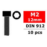 CORALLY STEEL SCREWS M2 X 12MM HEX SOCKET HEAD 10 PC