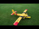 VQ Models DHC-6 Twin Otter Nature Air 72 inch Wingspan ARF