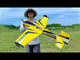 PRECISION AEROBATICS EXTRA 260RR ARF - Yellow - Pre Order - Expected Early April