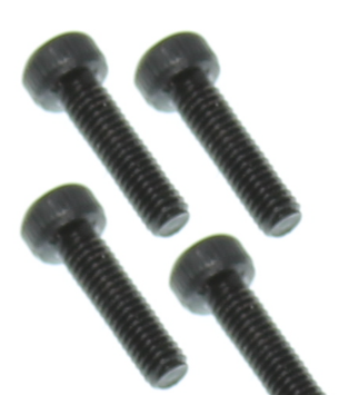 TS006 Screw for Sh.18 Engine Back Plate